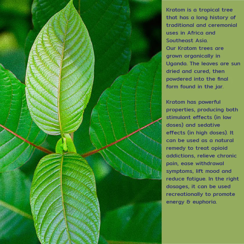 Organic Green Kratom