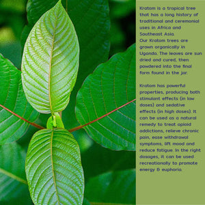 Organic Green Kratom