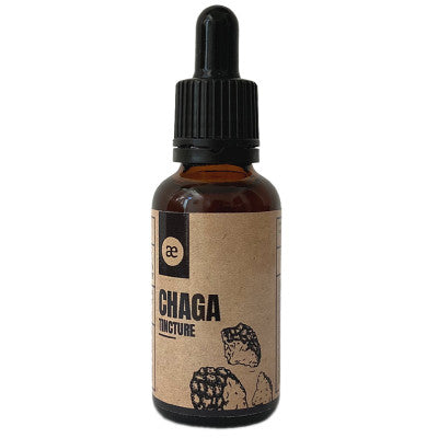 Chaga